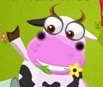 Crazy Cow