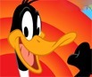 Daffy Duck Adventure