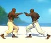 Capoeira Fighter