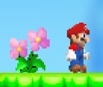 Mario's Adventure 2