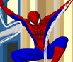 Spiderman Customization