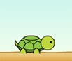 Turtle Run