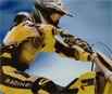 FMX Team 2