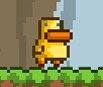 Gravity Duck