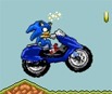 Sonic Enduro Race