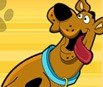 Scooby BMX Action