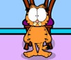 Garfield: Resgate Louco