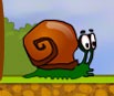 Caracol Bob