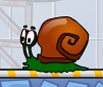 Caracol Bob 4