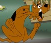 Scooby Doo Lost His Track